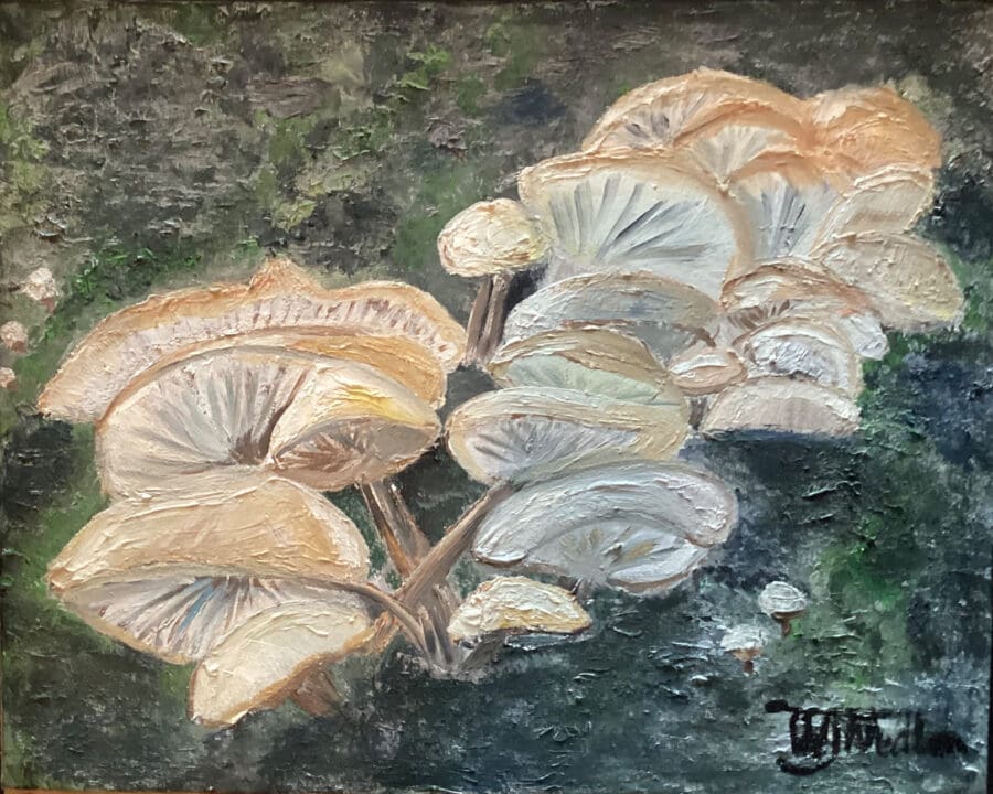 Fungi - still life oil on board by East Yorkshire artist Wendy Medlam